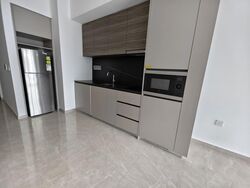 Parc Clematis (D5), Apartment #550711891